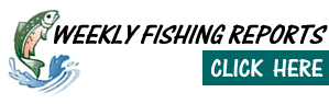Weekly Fishing Reports